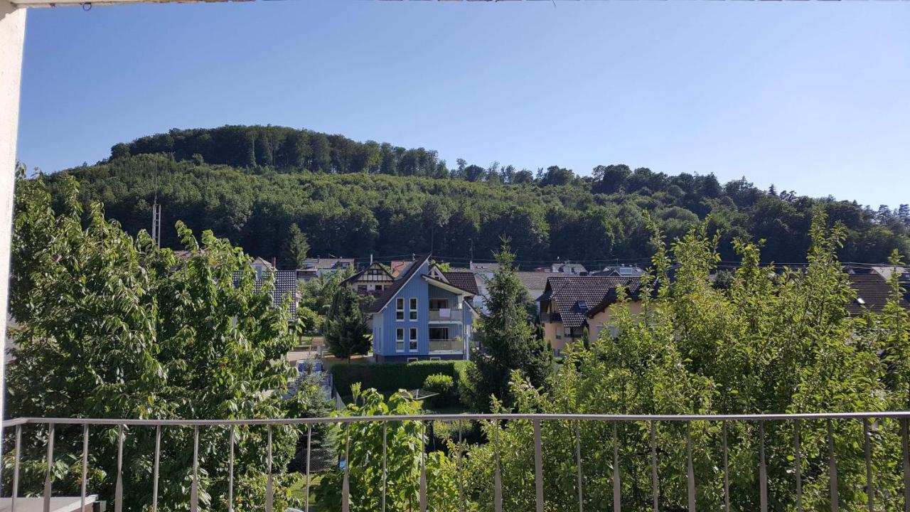 Ferienwohnungen Am Naturbad Lahr  Esterno foto